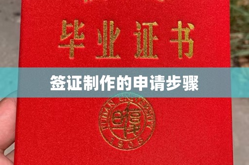 米脂签证制作的申请步骤