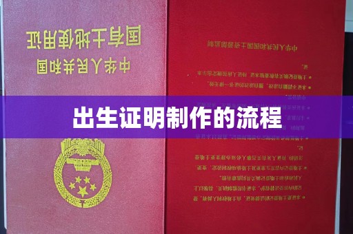 米脂出生证明制作的流程