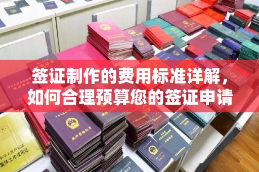 米脂签证制作的费用标准详解，如何合理预算您的签证申请成本